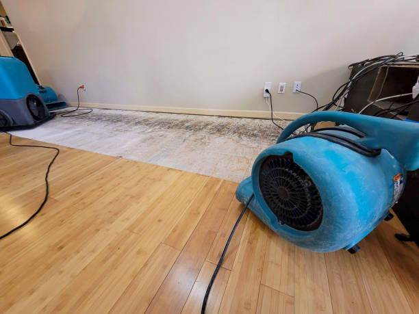 Professional Water Damage Repair technician working in Lebanon, NJ